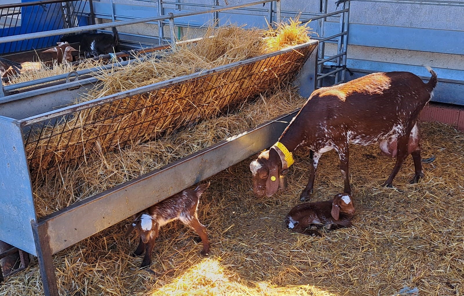 UGI pide a la Junta de Comunidades agilidad con las ayudas al lucro cesante UGI pide a la Junta de Comunidades agilidad con las ayudas al lucro cesante