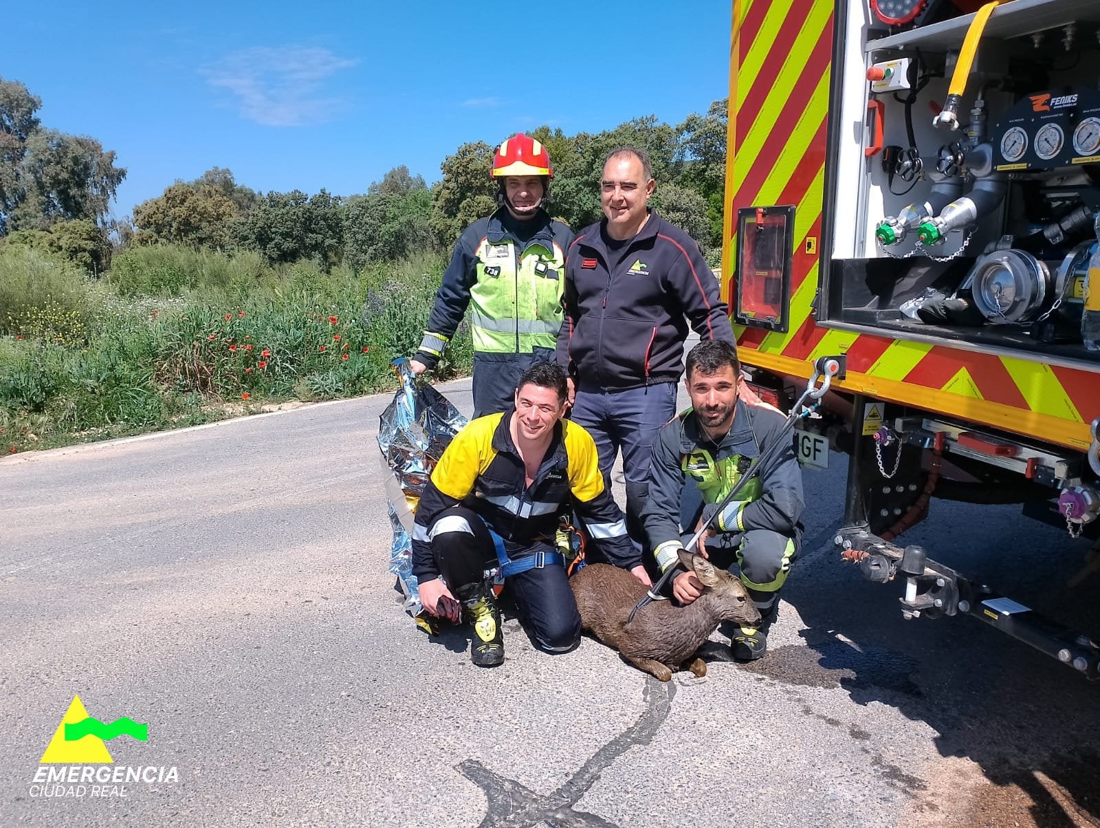 Bomberos de Ciudad Real rescatan a un corzo y a un perro Bomberos de Ciudad Real rescatan a un corzo y a un perro