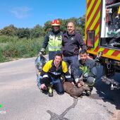 Los bomberos con el corzo rescatado