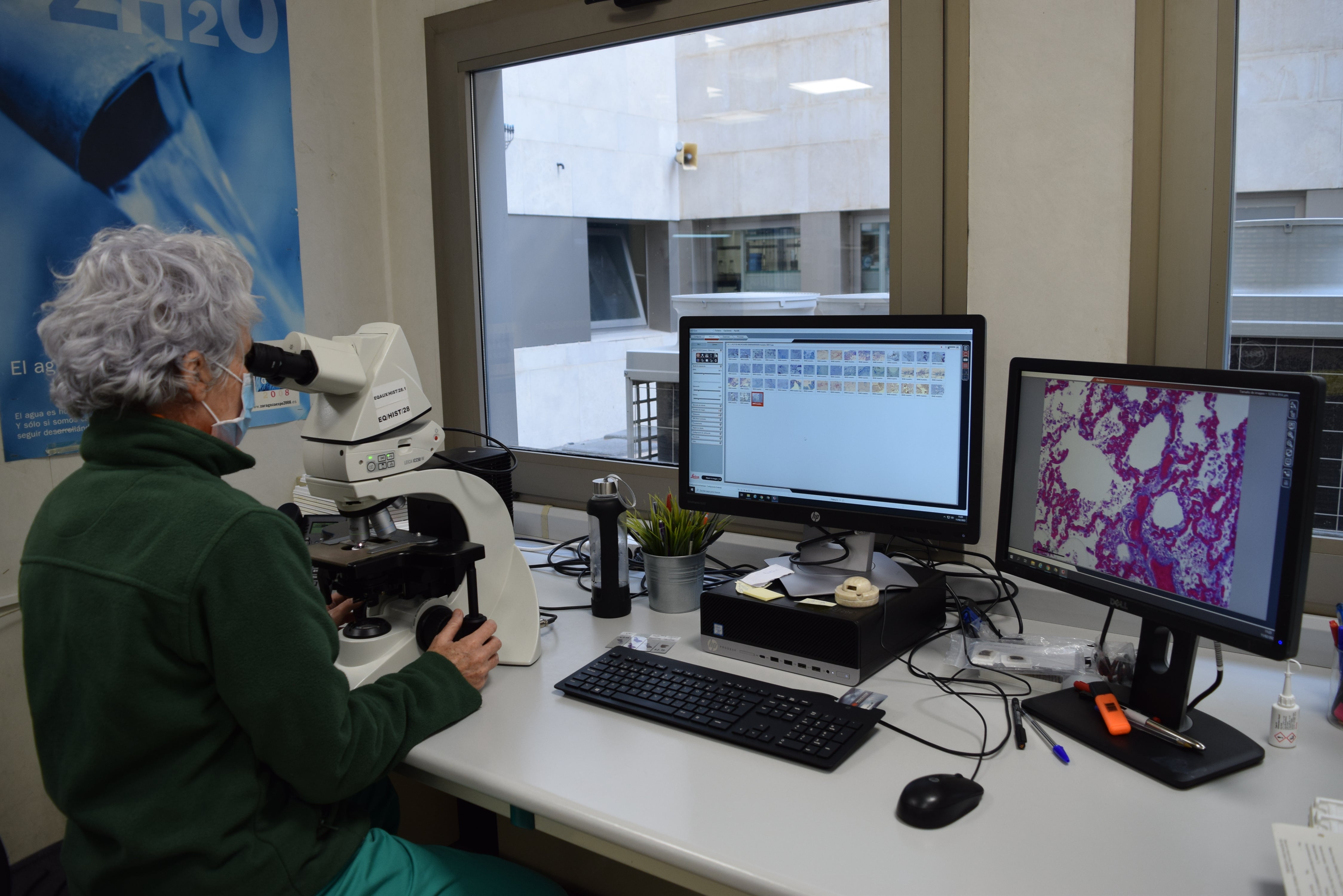 Justicia pone a disposición del Instituto de medicina legal de Castellón el acceso a Orion-Clinic Justicia pone a disposición del Instituto de medicina legal de Castellón el acceso a Orion-Clinic