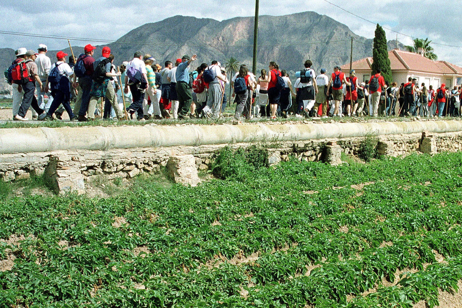 Compromís per Elx plantea una declaración institucional reclamando que la Generalitat continúe apoyando la Senda del Poeta Compromís per Elx plantea una declaración institucional reclamando que la Generalitat continúe apoyando la Senda del Poeta