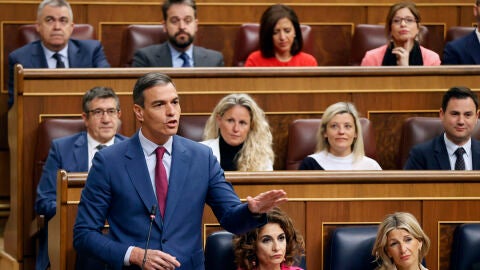 Pedro S&aacute;nchez en el Congreso/ EFE/J.P. Gandul