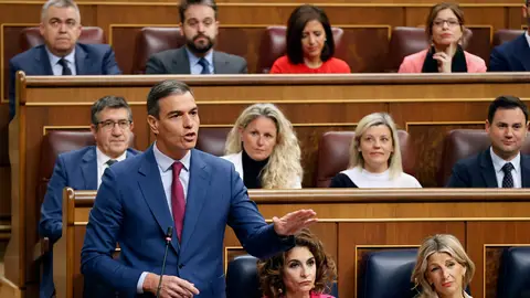Pedro Sánchez en el Congreso Pedro Sánchez en el Congreso/ EFE/J.P. Gandul