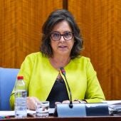 Salud ha suscrito 18 contratos con hospitales de Asisa y señala al PSOE la "vía judicial" ante sus críticas