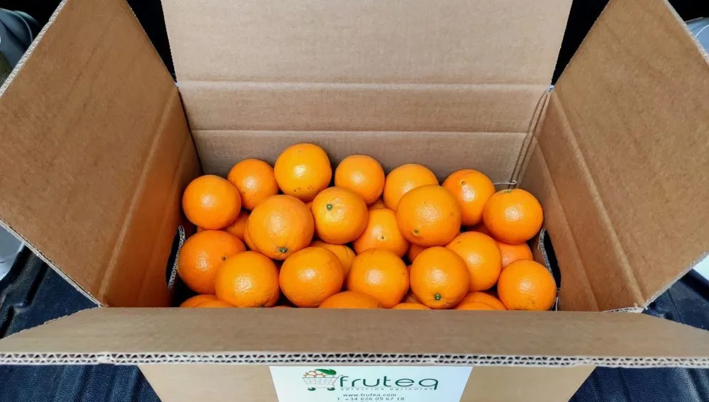 Servicios Agrícolas Fruteq Servicios Agrícolas Fruteq