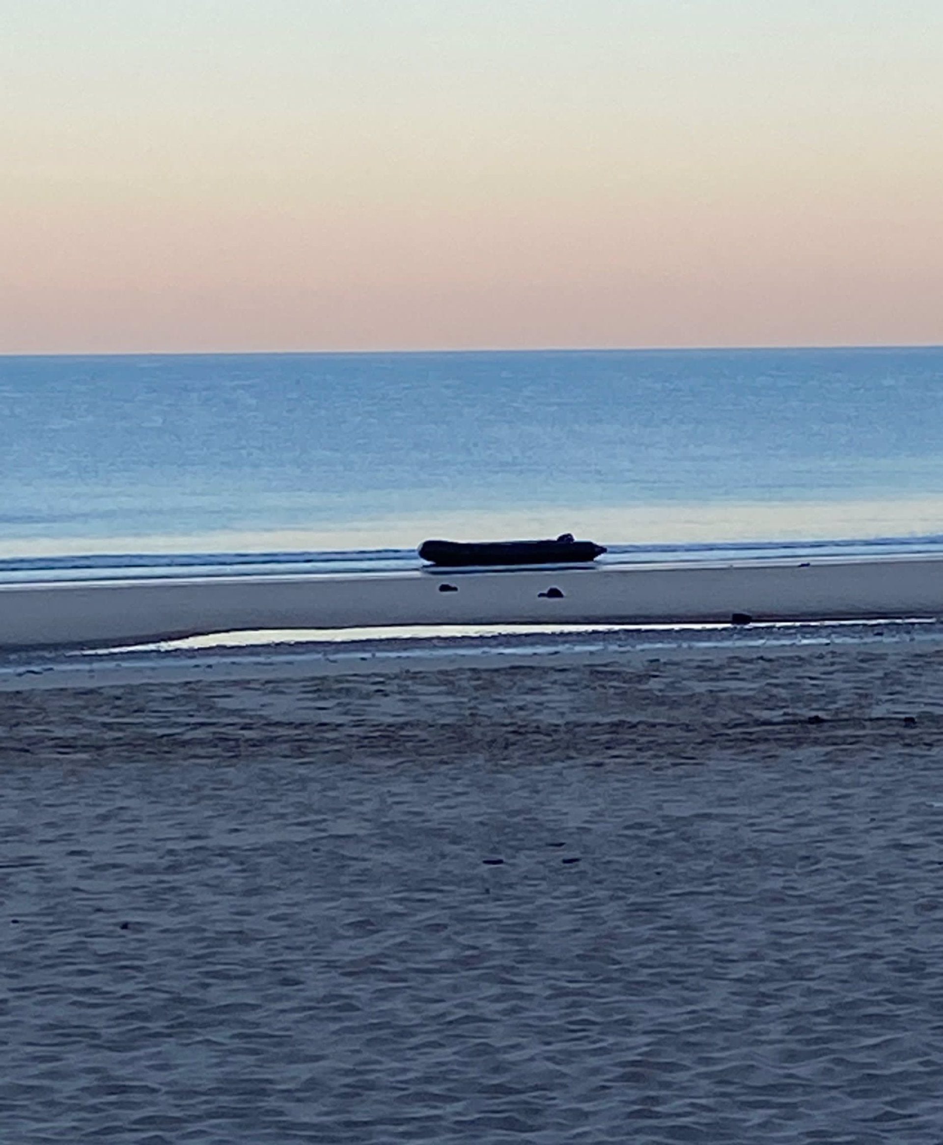 Ascienden a 15 los migrantes interceptados al llegar en una patera a la playa de la Victoria Ascienden a 15 los migrantes interceptados al llegar en una patera a la playa de la Victoria