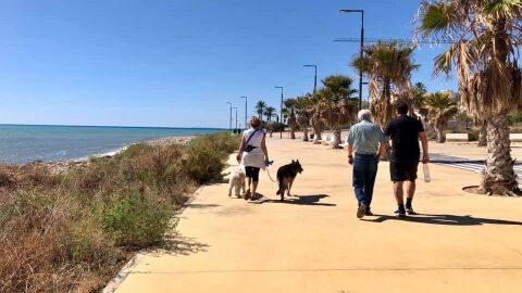 mascotas paseando por Villajoyosa mascotas paseando por Villajoyosa
