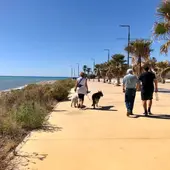 mascotas paseando por Villajoyosa mascotas paseando por Villajoyosa