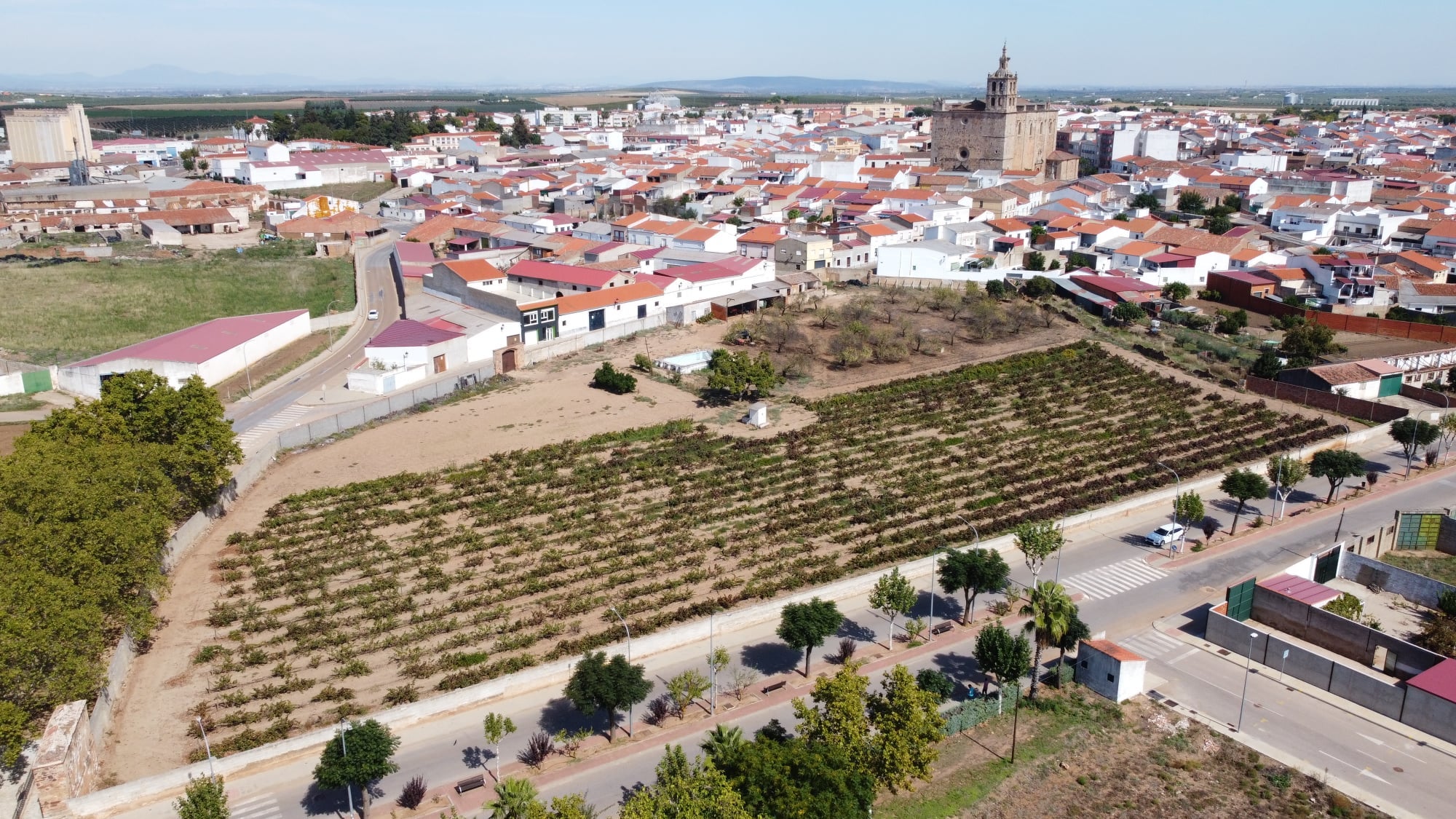 La Junta impulsará en Guareña el primero de los ocho centros de convalecencia para mayores que se levantarán antes de 2027 La Junta impulsará en Guareña el primero de los ocho centros de convalecencia para mayores que se levantarán antes de 2027