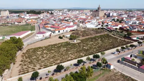 La Junta impulsará en Guareña el primero de los ocho centros de convalecencia para mayores que se levantarán antes de 2027 La Junta impulsará en Guareña el primero de los ocho centros de convalecencia para mayores que se levantarán antes de 2027