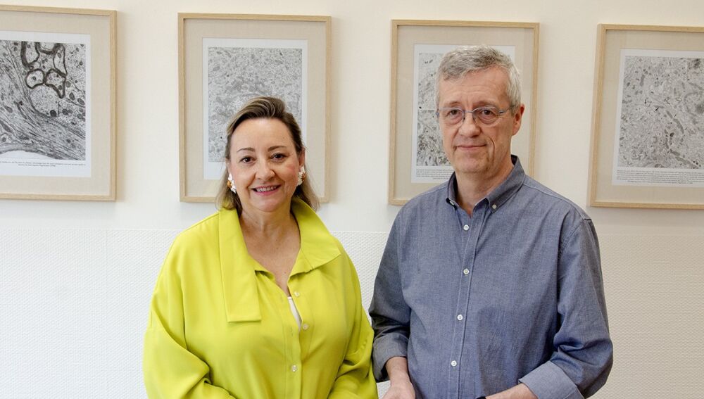 Ángela Nieto y Joan Galcerán, investigadores del IN-CSIC-UMH.