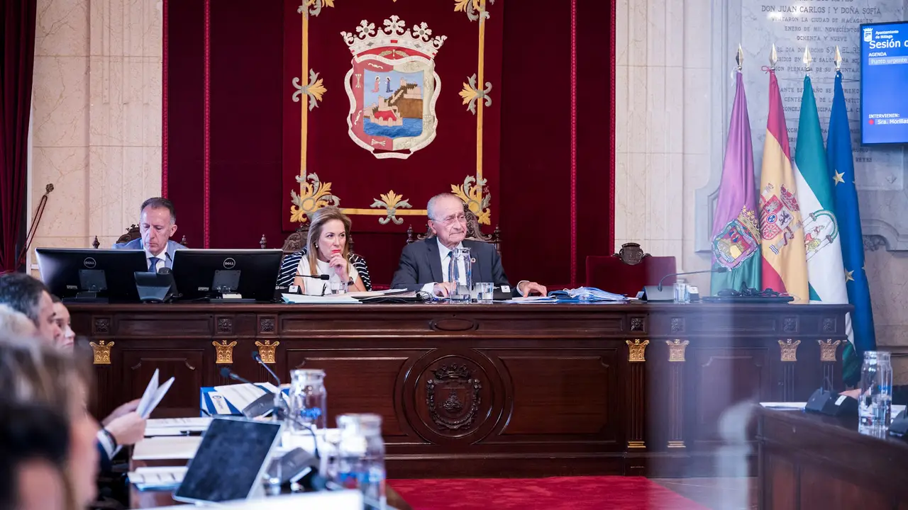 Pleno Ayuntamiento de Málaga Pleno Ayuntamiento de Málaga