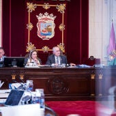 Pleno Ayuntamiento de Málaga
