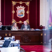 Pleno Ayuntamiento de Málaga Pleno Ayuntamiento de Málaga