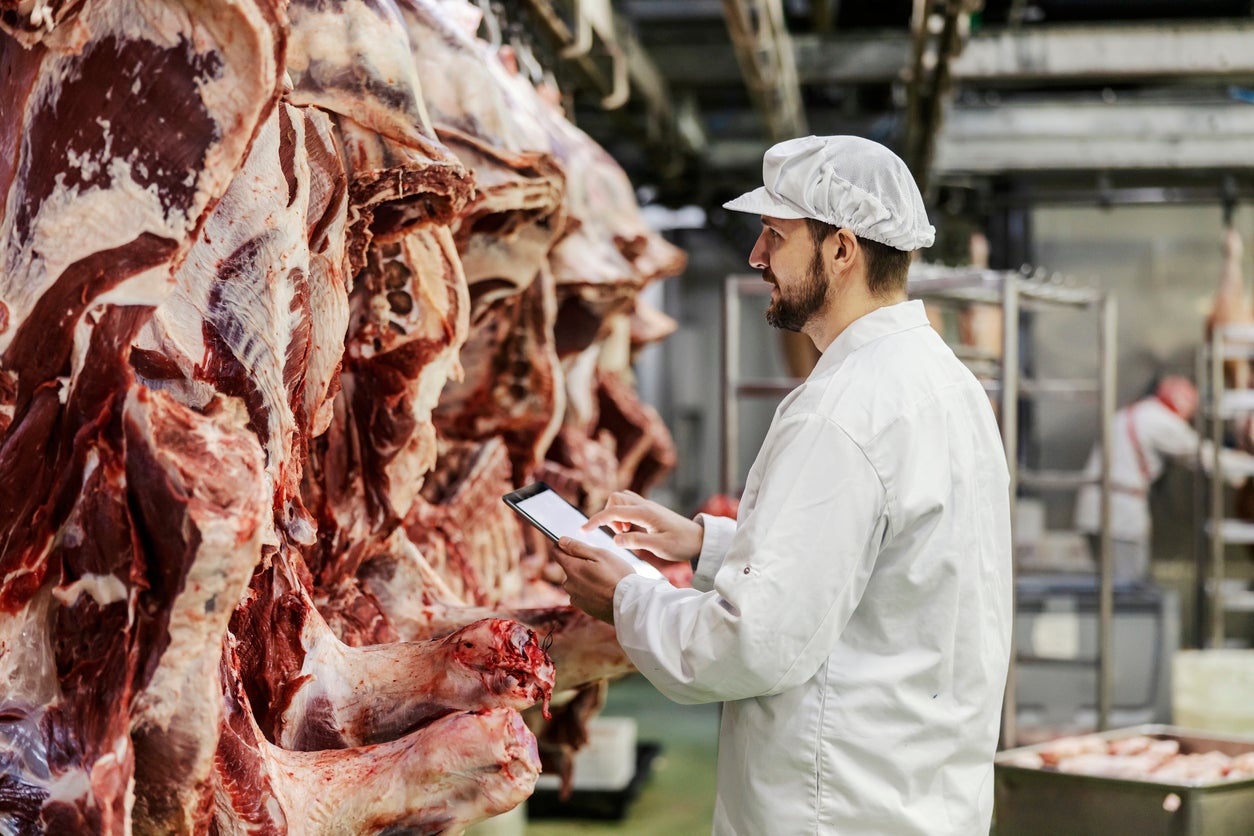 La labor de la veterinaria en nuestro día a día: garantes de la salud pública La labor de la veterinaria en nuestro día a día: garantes de la salud pública