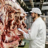 Un veterinario pasando un control alimentario a una carne Un veterinario pasando un control alimentario a una carne