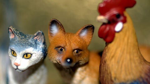 "Cuento animado" recoge 16 cuentos protagonizados por animales 