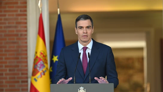 El presidente del Gobierno, Pedro Sánchez, durante su comparecencia institucional en La Moncloa El presidente del Gobierno, Pedro Sánchez, durante su comparecencia institucional en La Moncloa/ EFE/Moncloa/Borja Puig de la Bellacasa