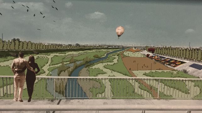 La CHJ licita la redacción del proyecto para renaturalizar el Nuevo Cauce del Turia La CHJ licita la redacción del proyecto para renaturalizar el Nuevo Cauce del Turia