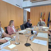 Imagen de la Comisión Regional de Seguimiento de este programa celebrada el viernes y presidida por el subdelegado del Gobierno en Valencia, José Rodríguez Imagen de la Comisión Regional de Seguimiento de este programa celebrada el viernes y presidida por el subdelegado del Gobierno en Valencia, José Rodríguez