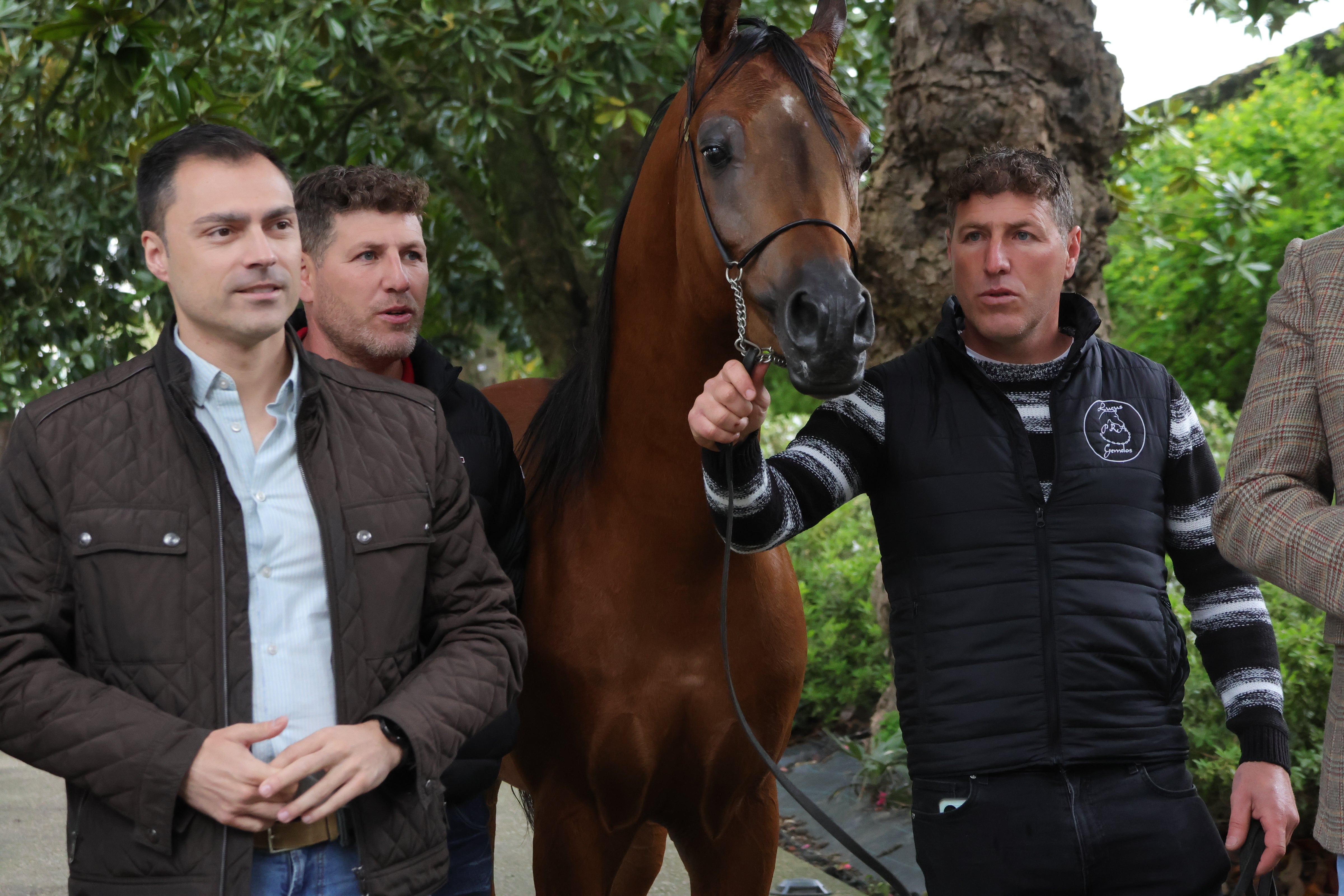 Más de 200 caballos participarán en la XVII edición de Equigal Más de 200 caballos participarán en la XVII edición de Equigal