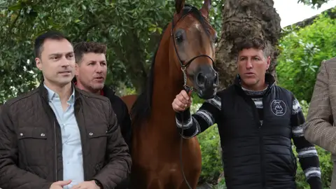 Presentacion de Equigal 2024 onda cero