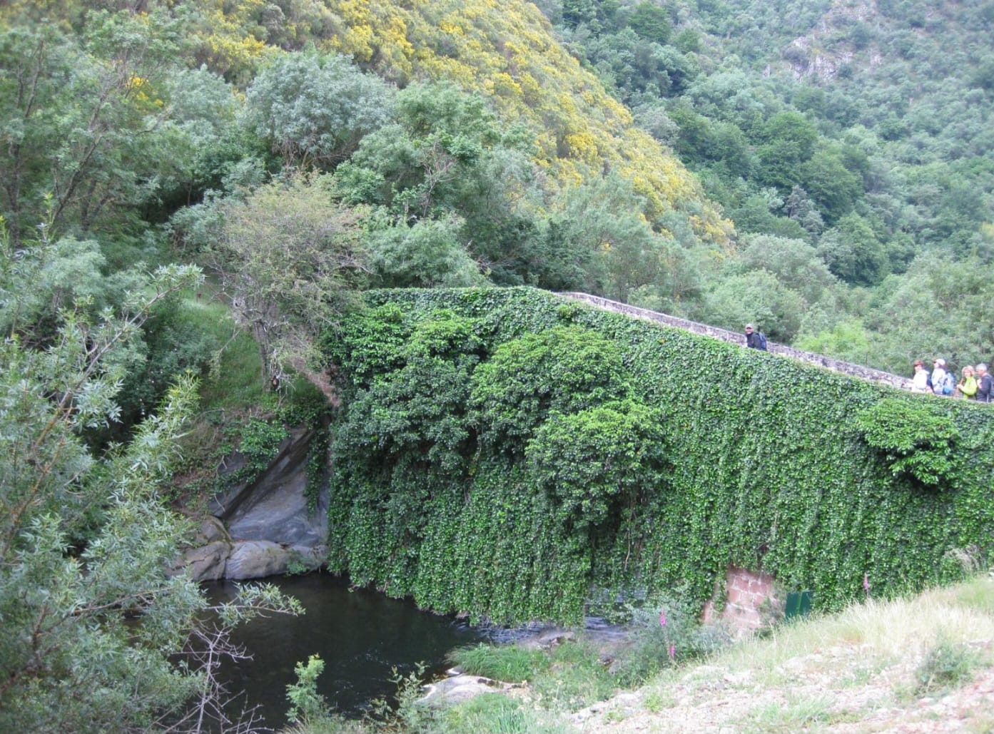 Paseo por la senda de la mesta en Ventrosa de la Sierra Paseo por la senda de la mesta en Ventrosa de la Sierra