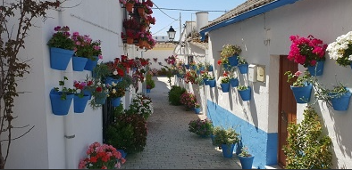 Cañete de las Torres se prepara para acoger su Festival de las Flores "Calles en flor" Cañete de las Torres se prepara para acoger su Festival de las Flores "Calles en flor"