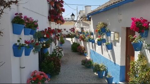 Calles en flor en Ca&ntilde;ete de las Torres