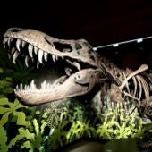 El Museo Arqueológico y Paleontológico de Alcalá de Henares muestra la historia de los dinosaurios y el trabajo de los paleontólogos que hallaron sus fósiles en la exposición “Cazadores de Dragones”