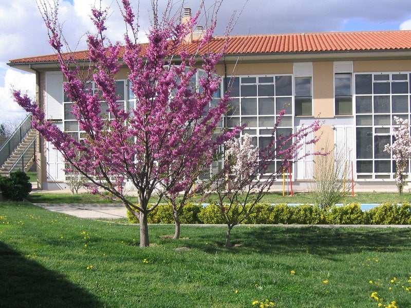 Proyecto Hombre ayudó a 1.228 personas a superar sus adicciones en 2023 Proyecto Hombre ayudó a 1.228 personas a superar sus adicciones en 2023