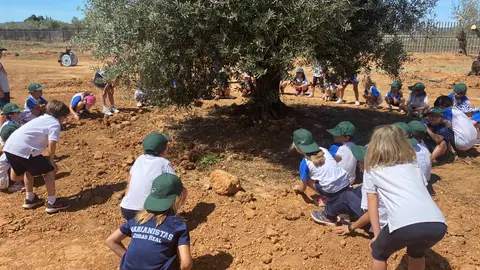 Escolares en centro de interpretación Olivia de Montes Norte Escolares en centro de interpretación Olivia de Montes Norte