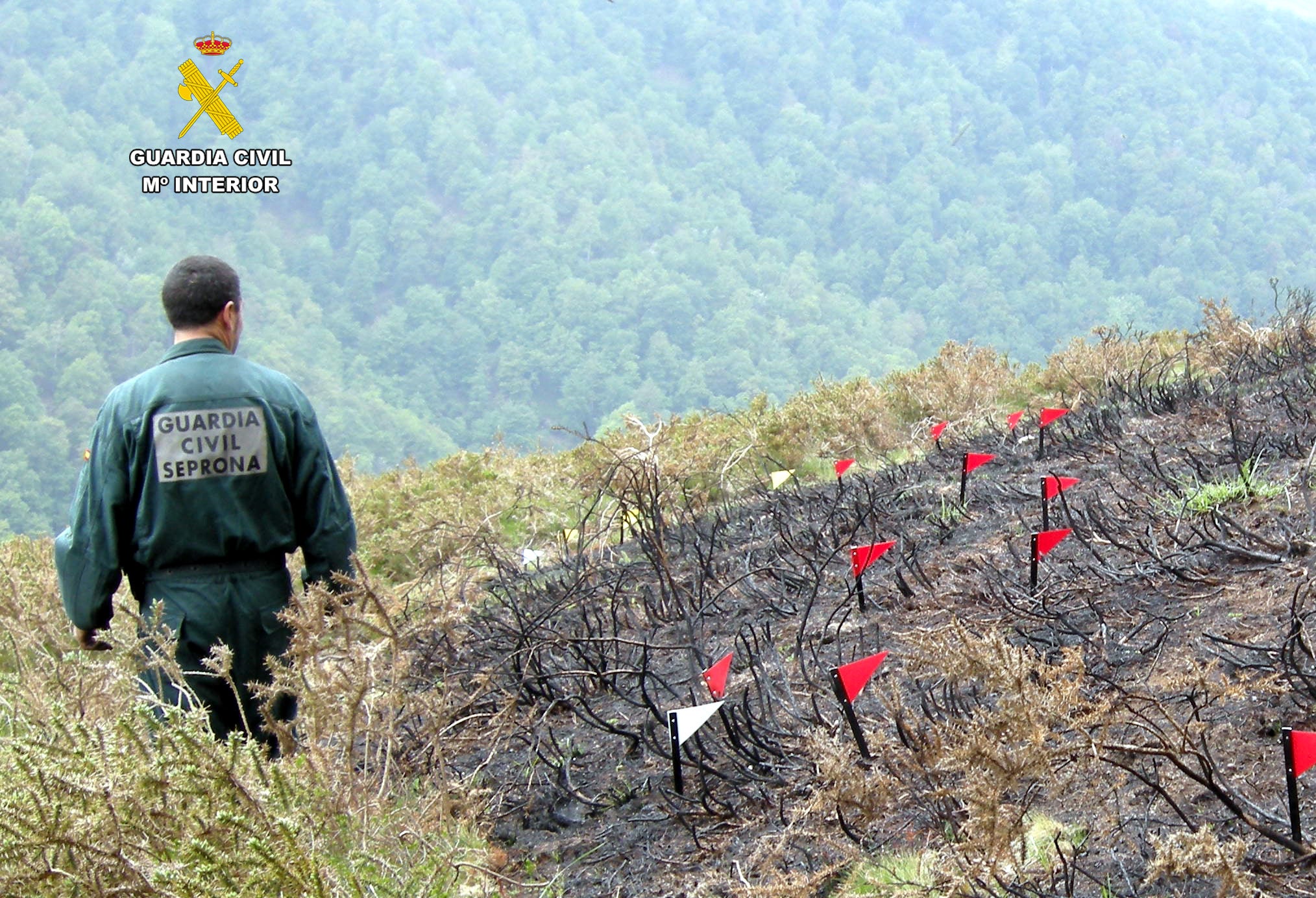 La Guardia Civil de Cantabria investiga al presunto autor de un incendio forestal en San Miguel de Aras La Guardia Civil de Cantabria investiga al presunto autor de un incendio forestal en San Miguel de Aras