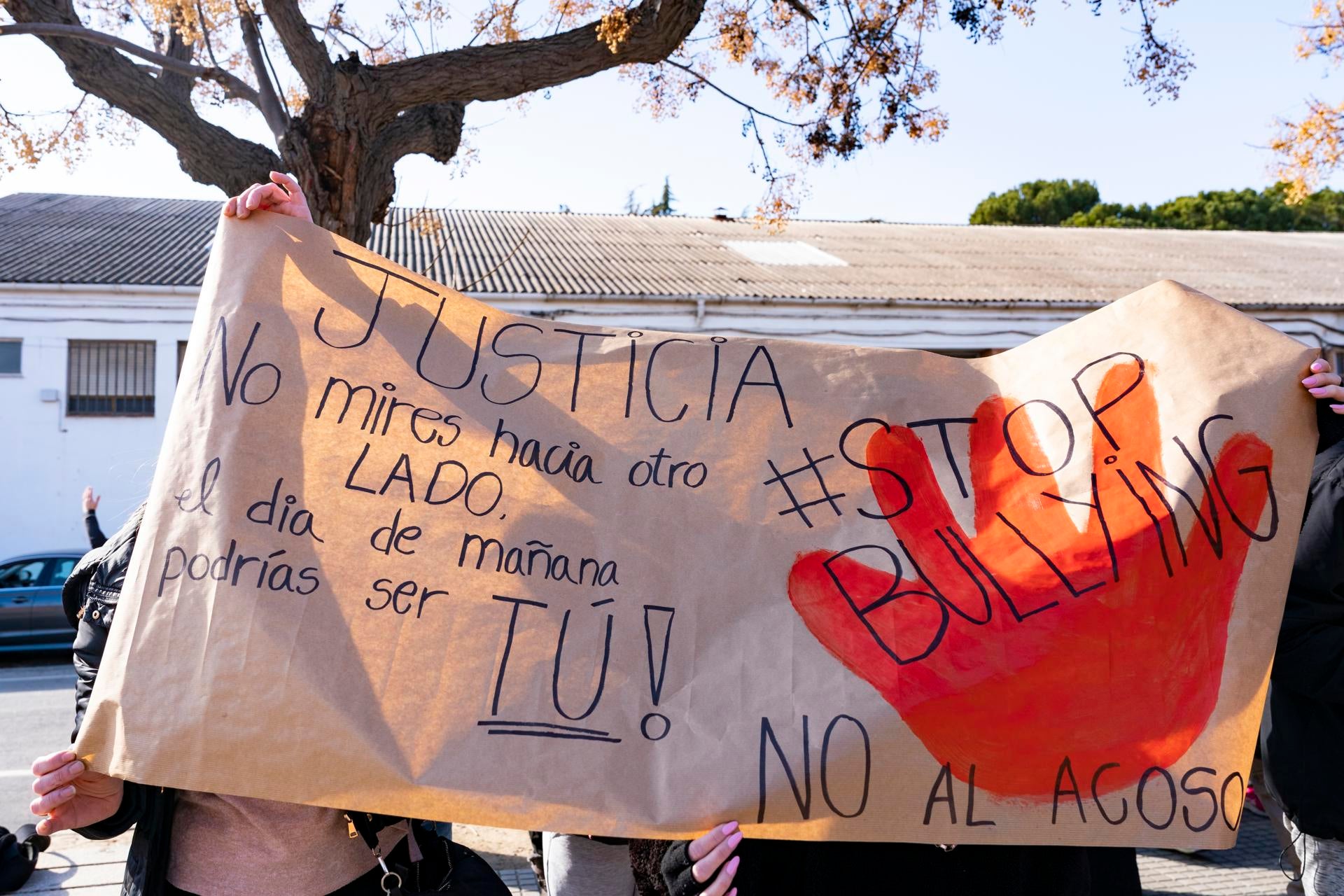 Día Mundial contra el acoso escolar, una lacra social a la que se enfrentan muchos niños Día Mundial contra el acoso escolar, una lacra social a la que se enfrentan muchos niños
