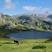 Fomento concede 248.000 euros en ayudas al área de influencia del Parque Nacional de los Picos de Europa