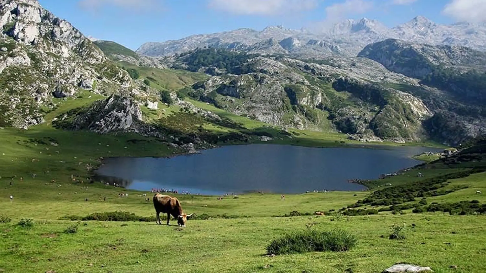 Fomento concede 248.000 euros en ayudas al área de influencia del Parque Nacional de los Picos de Europa