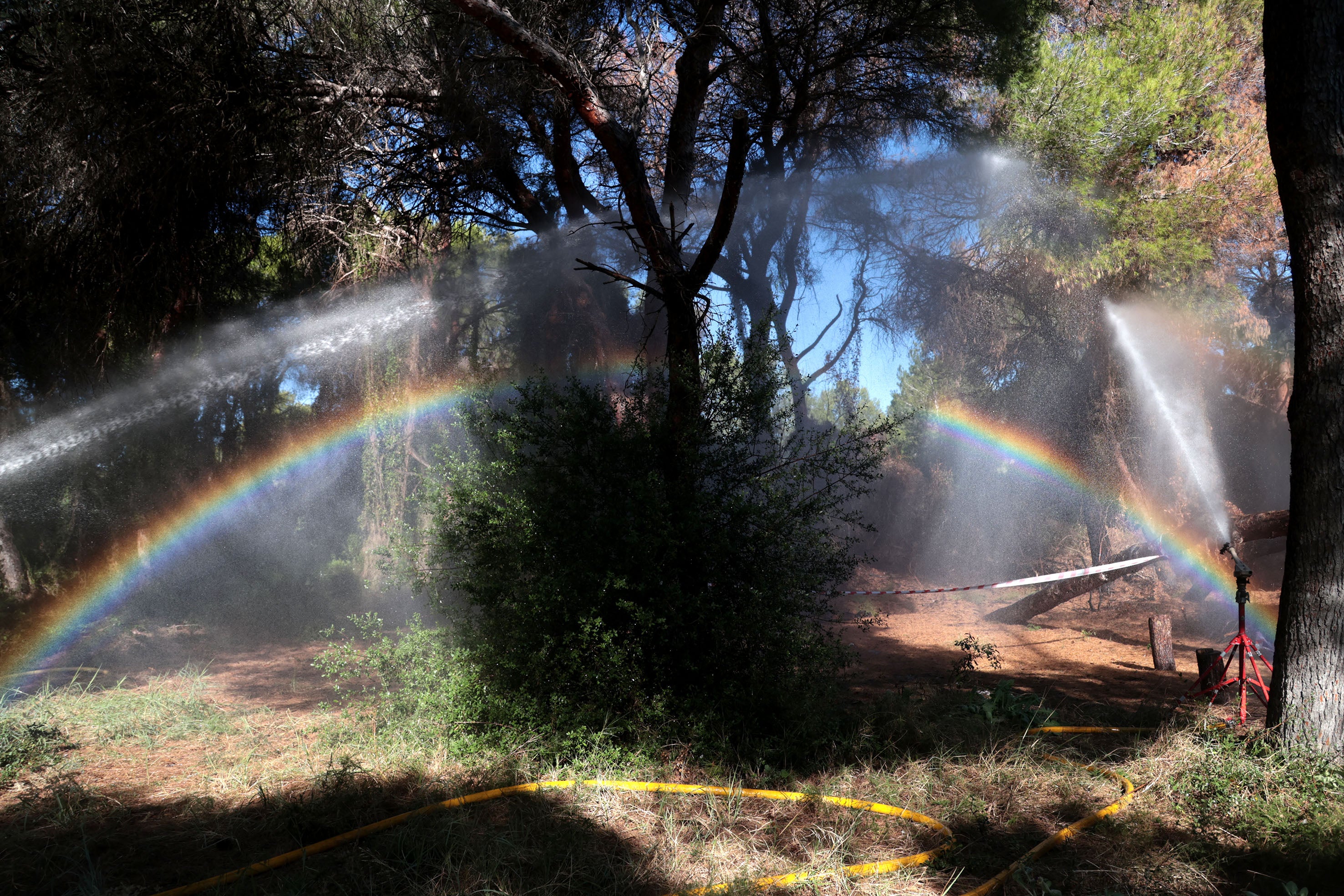 El bosque de La Devesa cuenta por fin con sus primeros ocho cañones de agua anti-incendios forestales El bosque de La Devesa cuenta por fin con sus primeros ocho cañones de agua anti-incendios forestales
