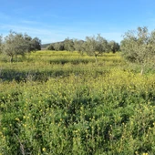Zona incluida en el proyecto Neodimio de Quantum Minería Zona incluida en el proyecto Neodimio de Quantum Minería
