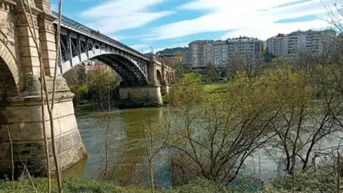 A Confederación Hidrográfica Miño-Sil elimina especies invasoras no Miño A Confederación Hidrográfica Miño-Sil elimina especies invasoras no Miño