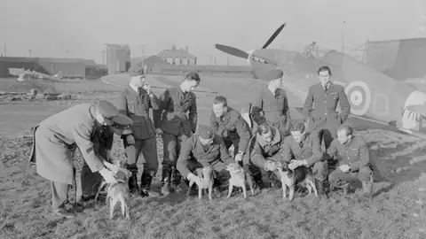 Imagen de archivo de varios soldados durante la Segunda Guerra Mundial Imagen de archivo de varios soldados durante la Segunda Guerra Mundial