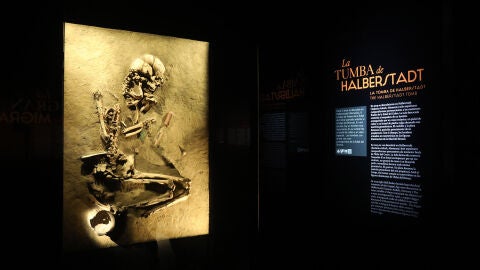 Restos humano prehistóricos en la exposición &#39;Dinastías&#39;