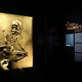 Restos humano prehistóricos en la exposición 'Dinastías'