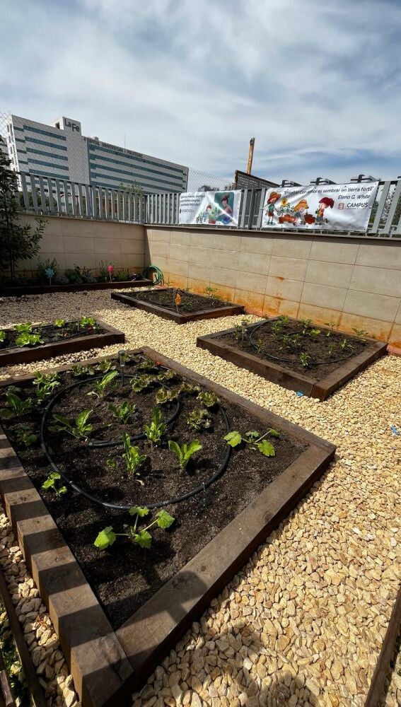 INFERTOSA colabora en la construcción del huerto para la Casa Ronald McDonald de Valencia
