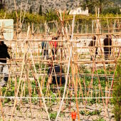Villajoyosa amplía el número de sus huertos urbanos con la adecuación de 25 parcelas más de la Fundación Aragonés