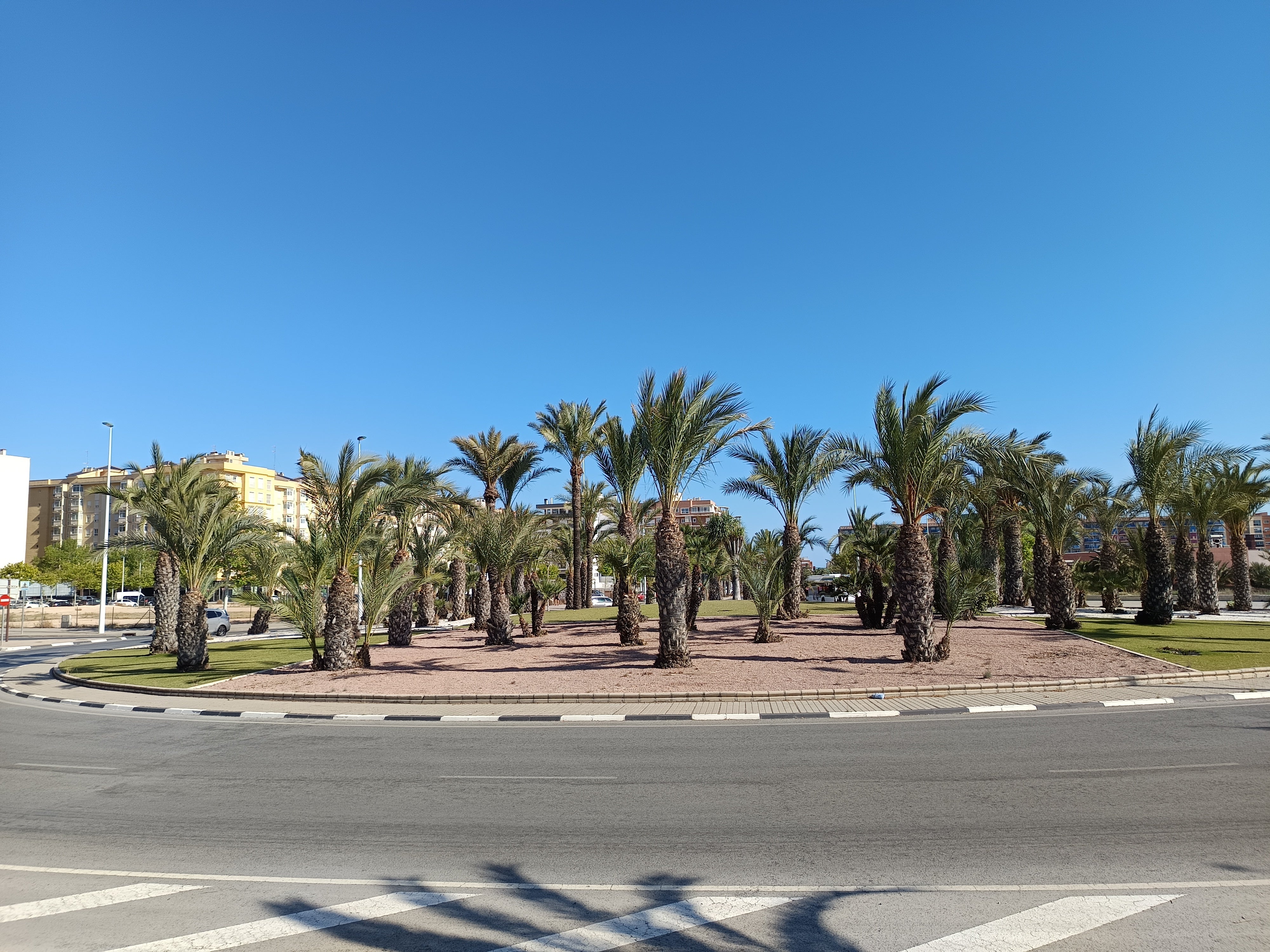 La semana camina por Elche, Crevillent y Santa Pola con sol, brisas marinas y temperaturas suaves La semana camina por Elche, Crevillent y Santa Pola con sol, brisas marinas y temperaturas suaves