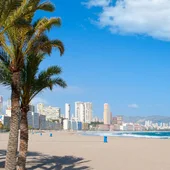 Benidorm decorará 80 papeleras de sus playas con las ilustraciones de los artistas participantes en la I Jornada de Arte Urbano Benidorm decorará 80 papeleras de sus playas con las ilustraciones de los artistas participantes en la I Jornada de Arte Urbano