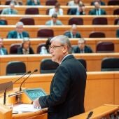 El senador del PP, Antonio Silván, interviene durante una sesión plenaria en el Senado