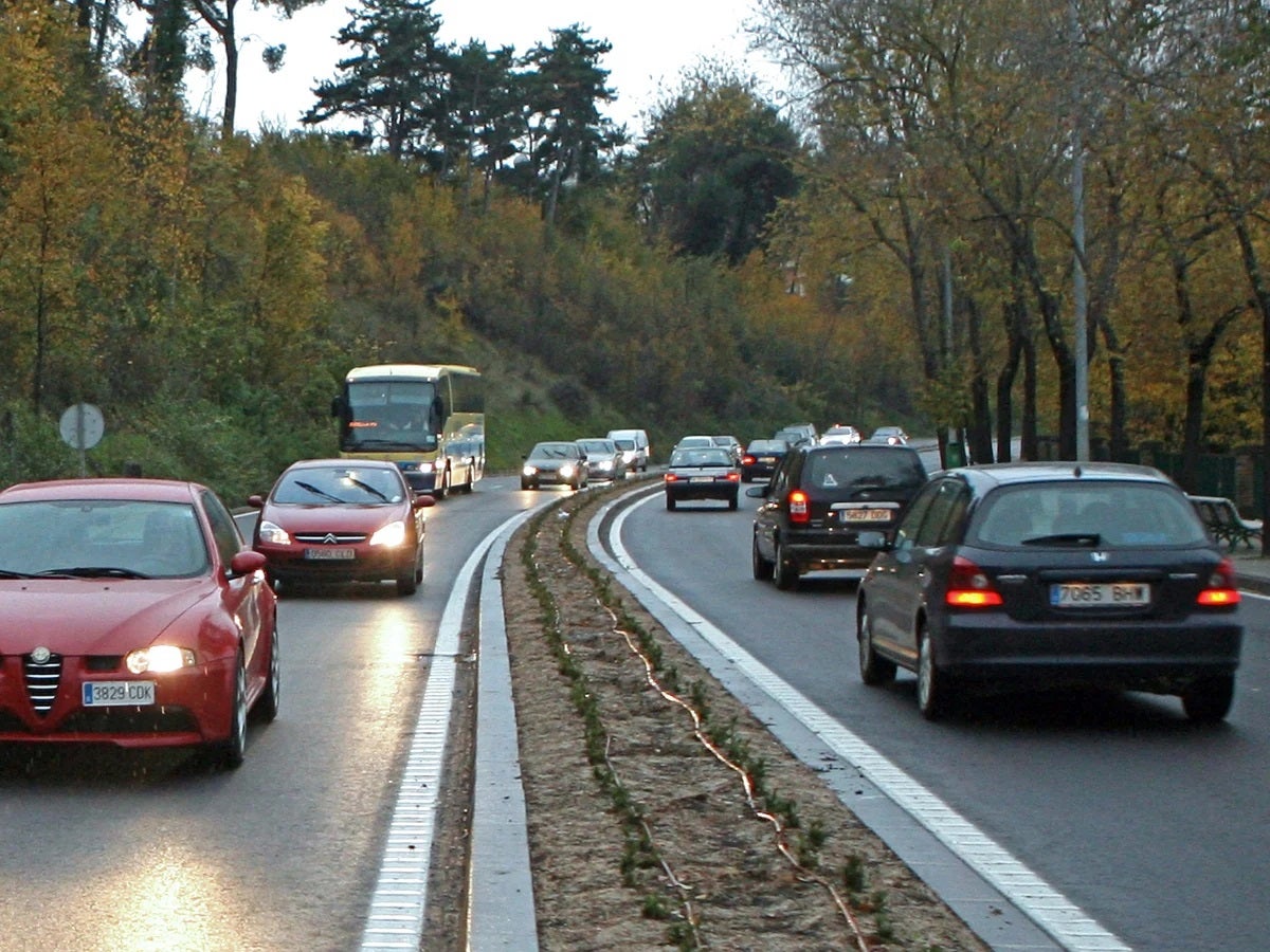 El gobierno municipal tala un centenar de arboles de madrugada en Beloso y culpa de la actuación a la empresa responsable y a UPN El gobierno municipal tala un centenar de arboles de madrugada en Beloso y culpa de la actuación a la empresa responsable y a UPN