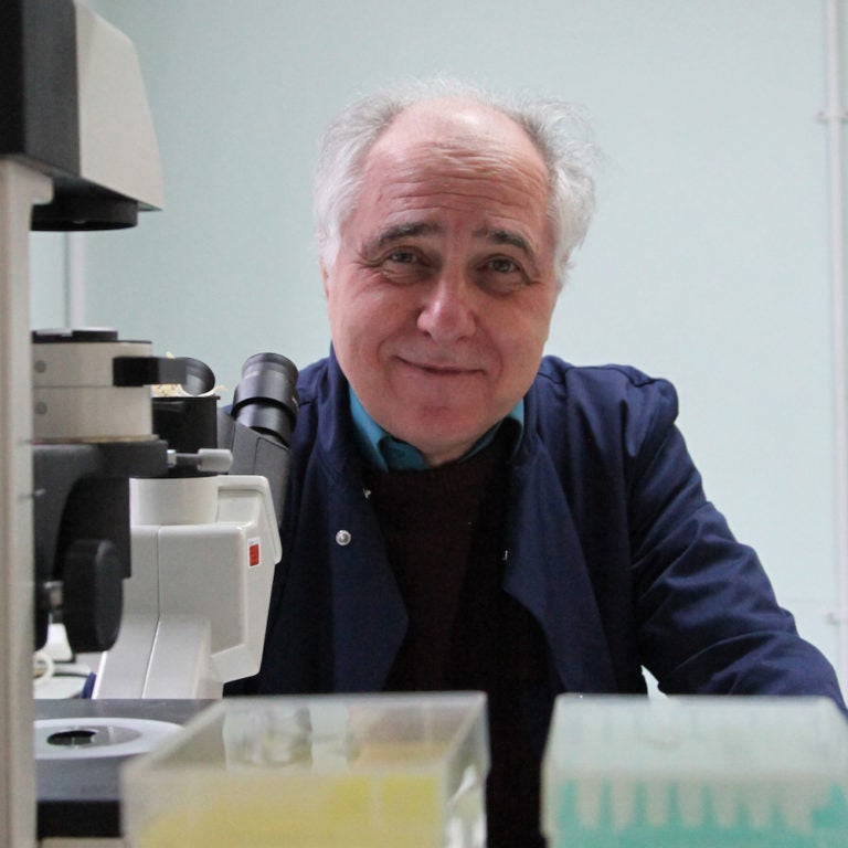 El 15% de los humanos puede tener ADN de dos personas El 15% de los humanos puede tener ADN de dos personas