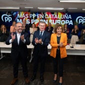 El presidente del PP Alberto Núñez Feijóo (c), preside la reunión del Comité Ejecutivo Nacional, este martes en Madrid.